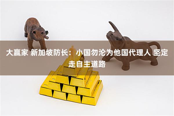 大赢家 新加坡防长：小国勿沦为他国代理人 坚定走自主道路