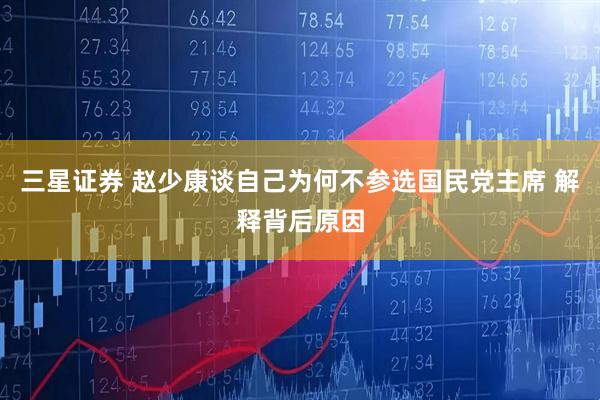 三星证券 赵少康谈自己为何不参选国民党主席 解释背后原因