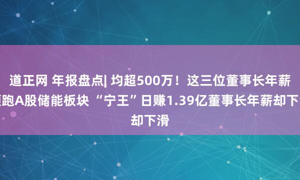 道正网 年报盘点| 均超500万！这三位董事长年薪领跑A股储能板块 “宁王”日赚1.39亿董事长年薪却下滑