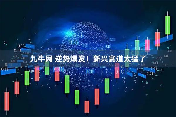 九牛网 逆势爆发！新兴赛道太猛了