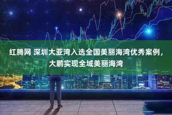 红腾网 深圳大亚湾入选全国美丽海湾优秀案例，大鹏实现全域美丽海湾