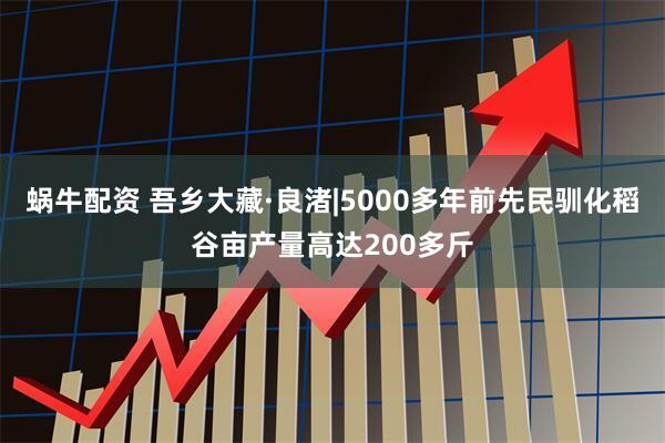 蜗牛配资 吾乡大藏·良渚|5000多年前先民驯化稻谷亩产量高达200多斤